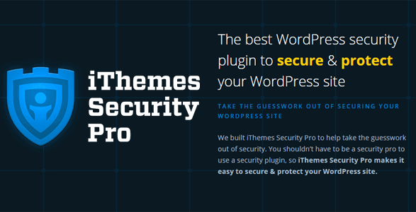 WordPress Security - BloggerSprout